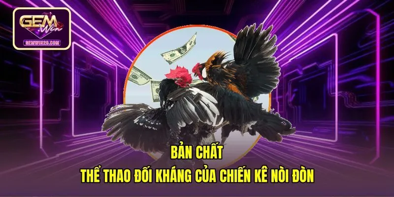 Đặc điểm thể chất dẻo dai của chiến kê đá gà đòn