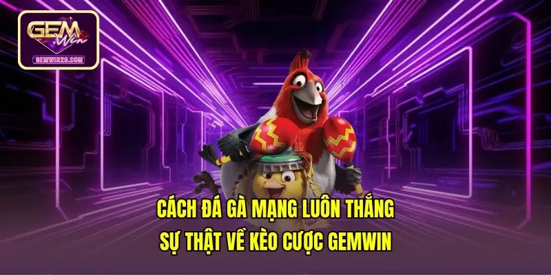 Cách Đá Gà Mạng Luôn Thắng - Sự Thật Về Kèo Cược Gemwin