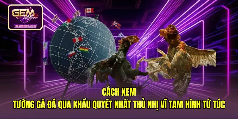 cach-xem-tuong-ga-da-qua-khau-quyet-nhat-thu-nhi-vi-tam-hinh-tu-tuc Cách xem tướng gà đá qua khẩu quyết chọn lọc chiến kê
