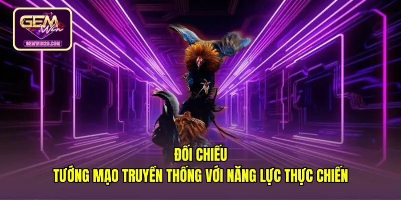 doi-chieu-tuong-mao-truyen-thong-voi-nang-luc-thuc-chien Cách xem tướng gà đá qua đối chiếu thể trạng thực tế