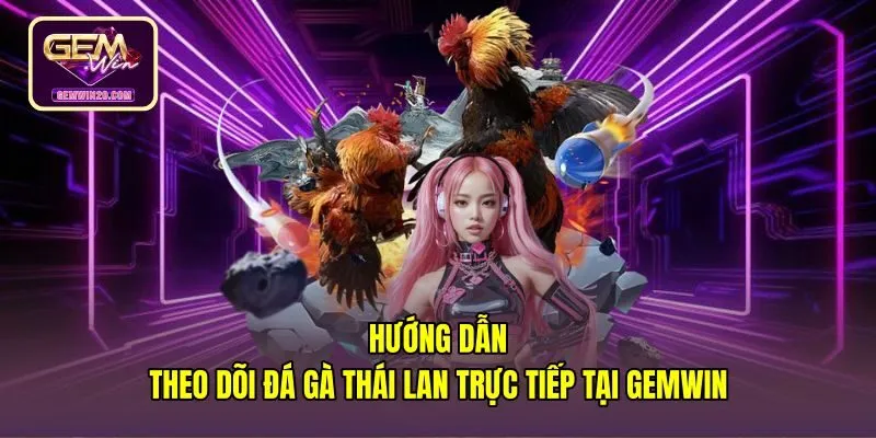 Thao tác theo dõi đá gà Thái Lan trực tiếp tại Gemwin