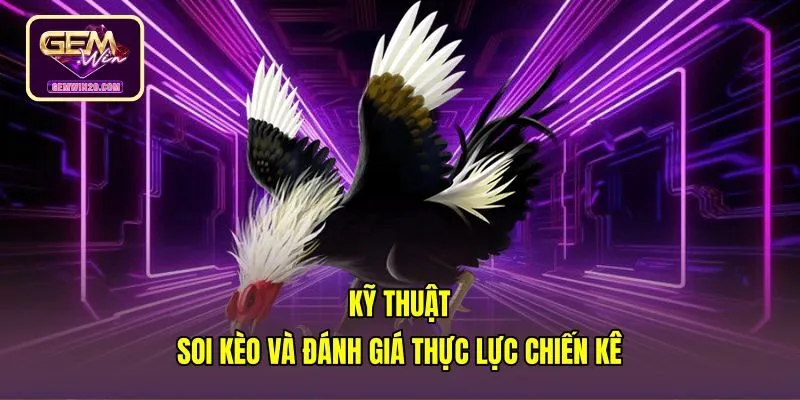 ky-thuat-soi-keo-va-danh-gia-thuc-luc-chien-ke Tiêu chí đánh giá phong độ chiến kê trước giờ xuất trận