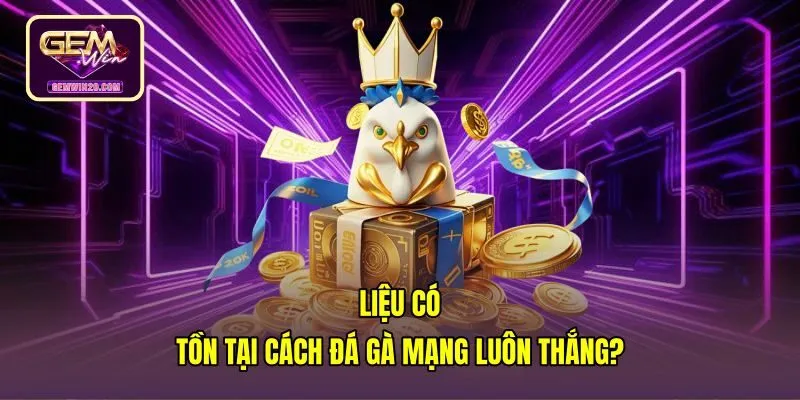 lieu-co-ton-tai-cach-da-ga-mang-luon-thang Ảo tưởng thắng tuyệt đối và tính ngẫu nhiên trên sàn đấu