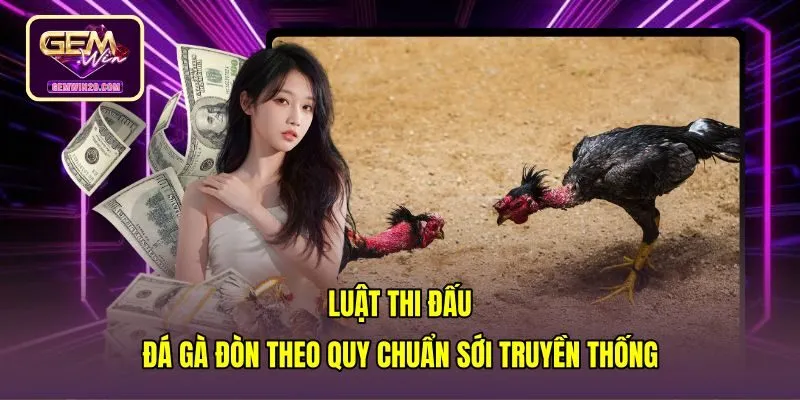 Quy chuẩn hồ đấu nghiêm ngặt trong sới đá gà đòn