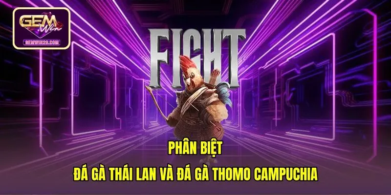 Bảng so sánh đá gà Thái Lan và sới Thomo Campuchia