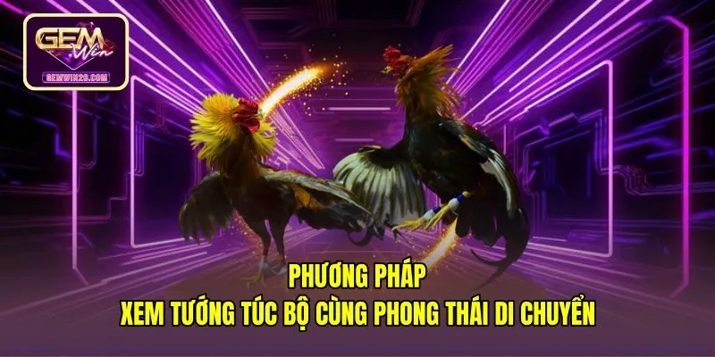 phuong-phap-xem-tuong-tuc-bo-cung-phong-thai-di-chuyen Cách xem tướng gà đá qua hình thái chân và bước đi