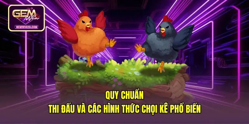 Quy chuẩn luật đấu đá gà Gemwin và thể thức so tài