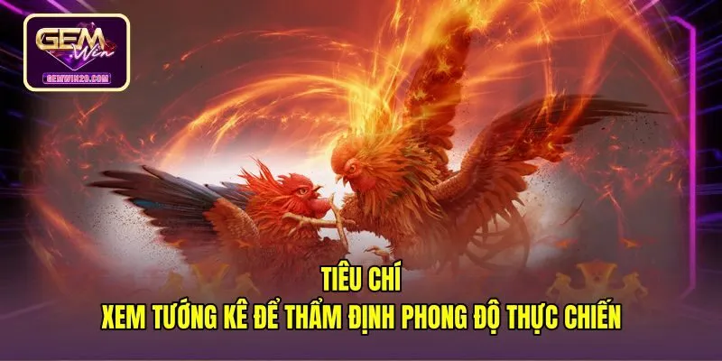 Diện mạo và phong độ chiến kê đá gà Gemwin trên sới
