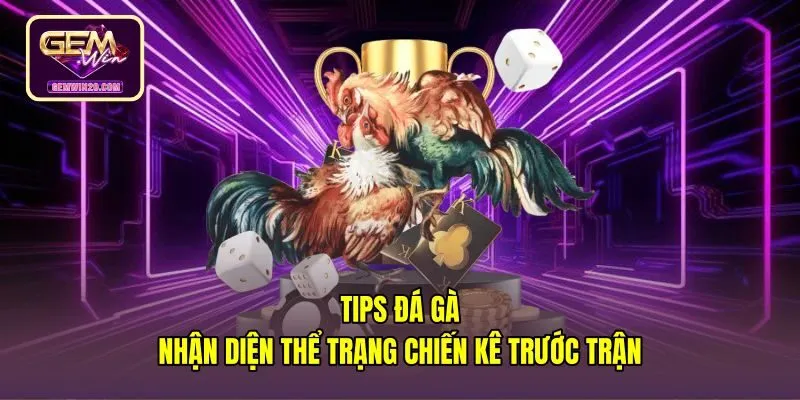 Tips Đá Gà - Thẩm Định Thể Lực Và Đòn Lối Chuẩn Gemwin