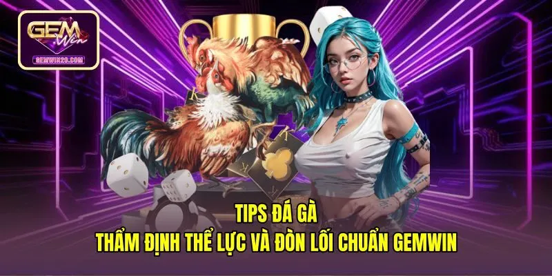 Tips đá gà quan sát nhịp thở cùng thần thái chiến kê