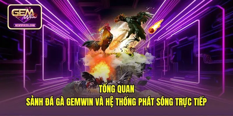 Đường truyền phát trực tiếp đá gà Gemwin chuẩn Full HD
